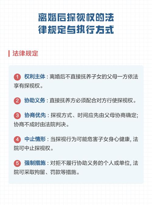离婚纠纷探视权与财产执行关联案例表