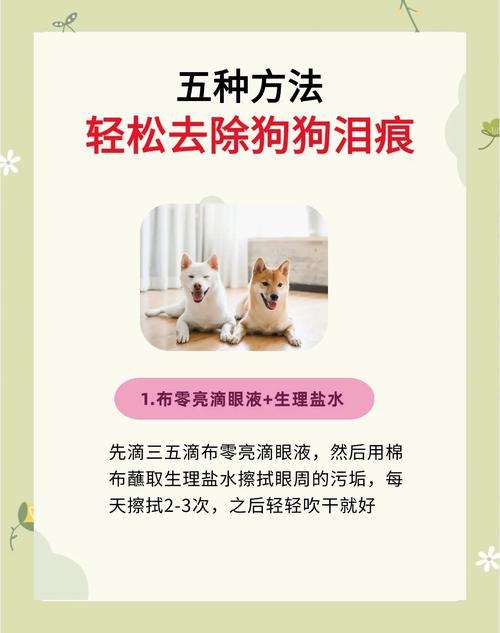 宠物眼角泪痕擦拭正确手法示意图