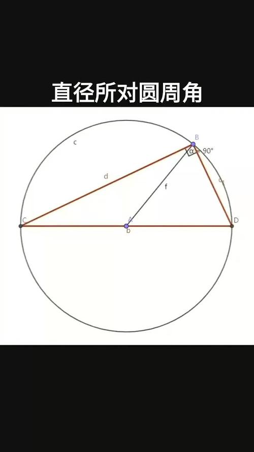 圆中直径所对圆周角直角模型图