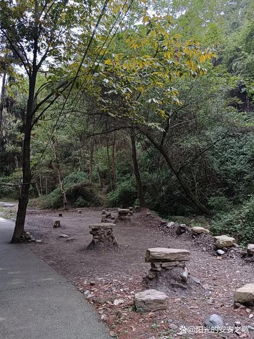 湖北南漳荆山原始林区山林步道