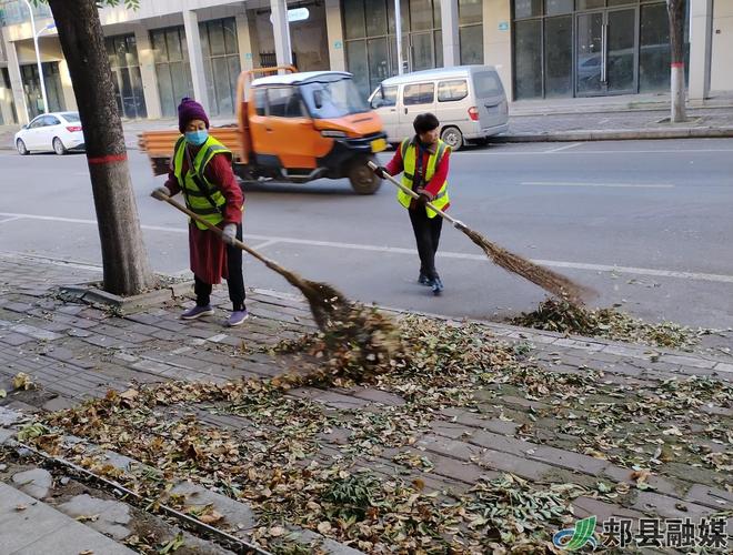 银杏:你凭什么活了2亿年,还臭烘烘的?-因为所以
