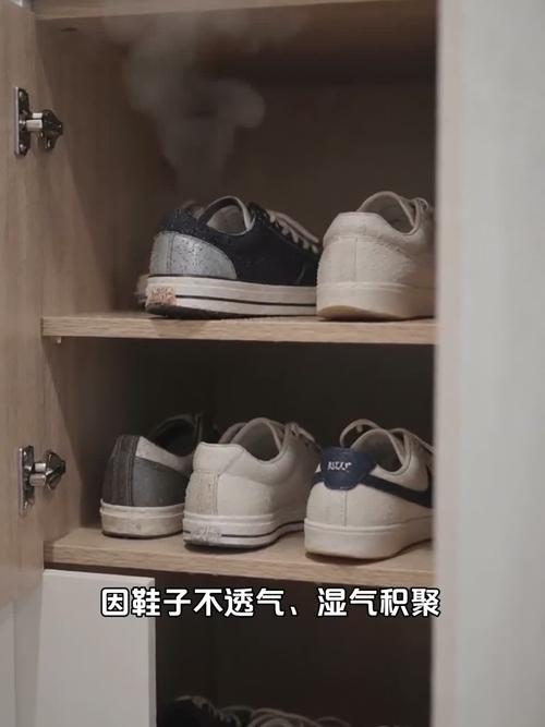 橘子皮除潮香包鞋柜摆放实拍