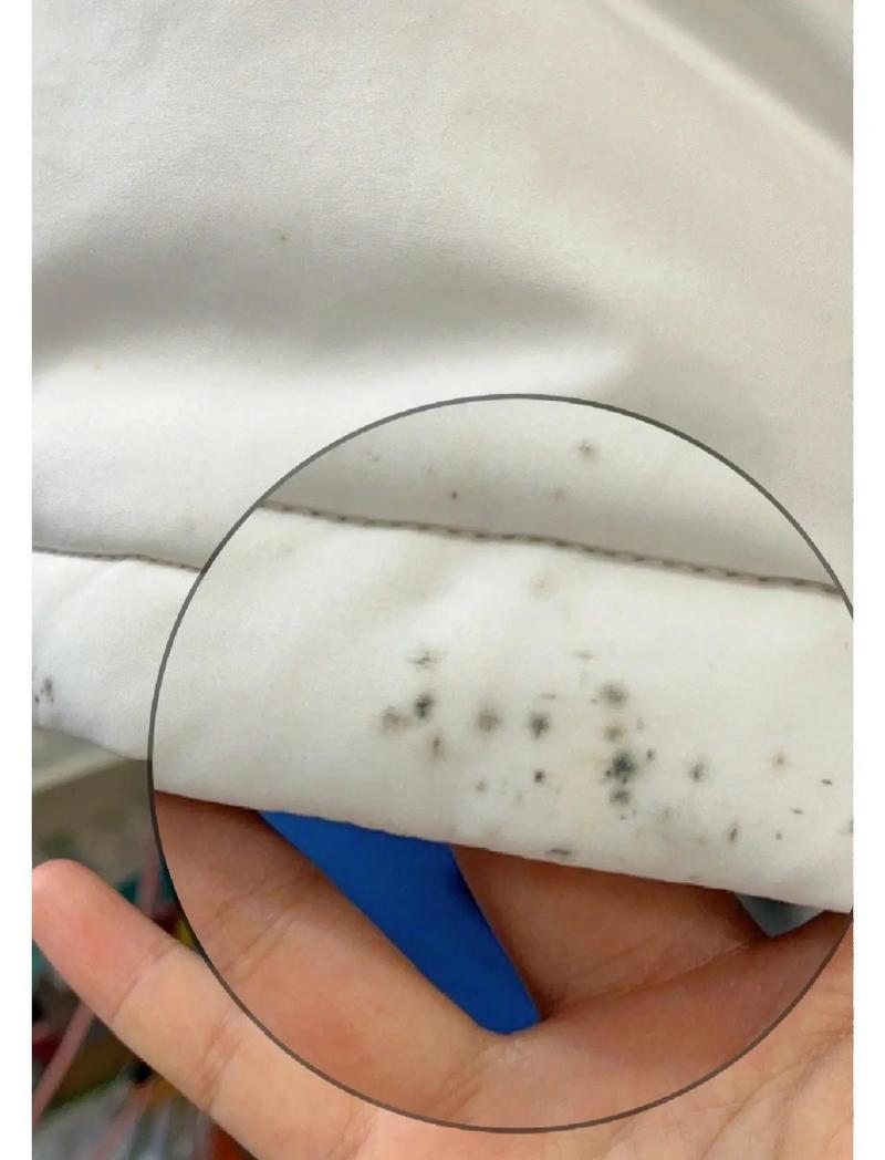 密封收纳箱深处发霉的闲置衣物实拍