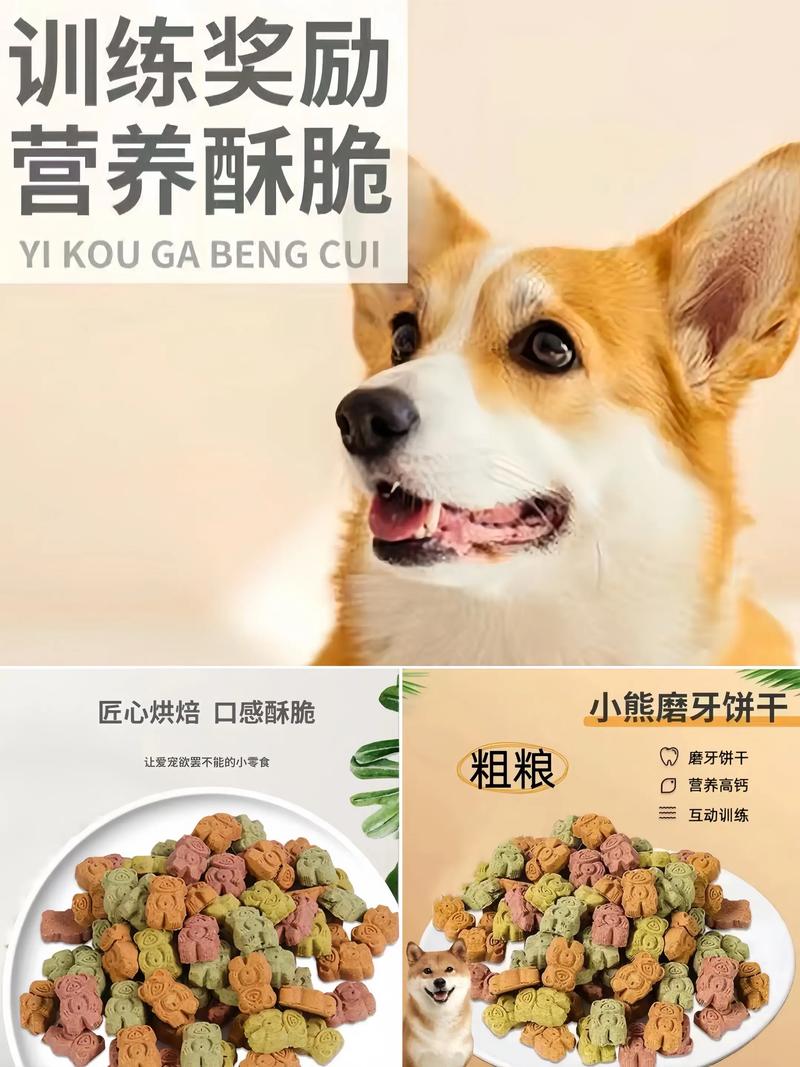 主人奖励训练好的狗狗零食特写