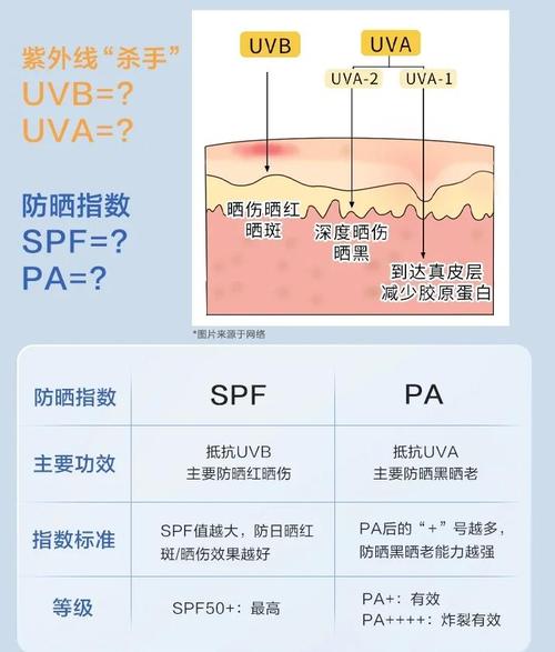 不同SPF值防晒霜UVB防护率对比表