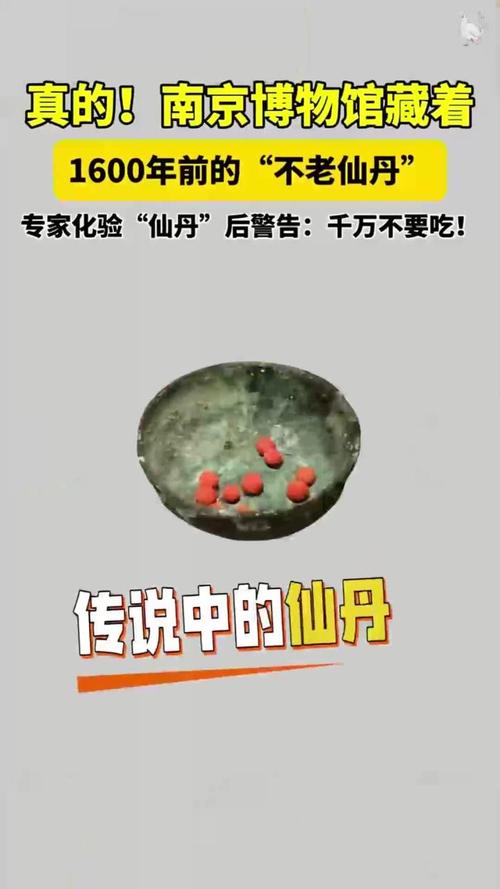 模板没毒,别把它当仙丹吃