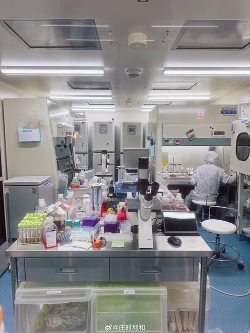 CAR-T细胞疗法实验室培养实拍