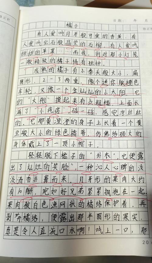 初中语文说明文举例子满分作文片段