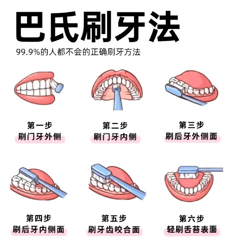 巴氏刷牙法步骤示意图