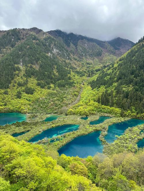 九寨沟清晨树正群海