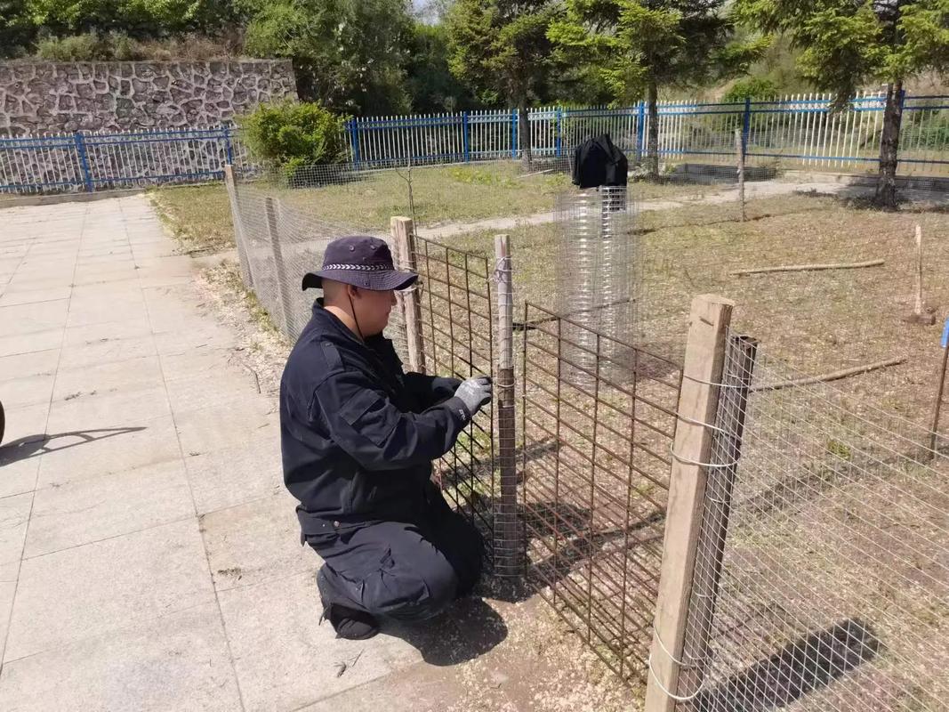 动物园动物致害防护设施加固图示