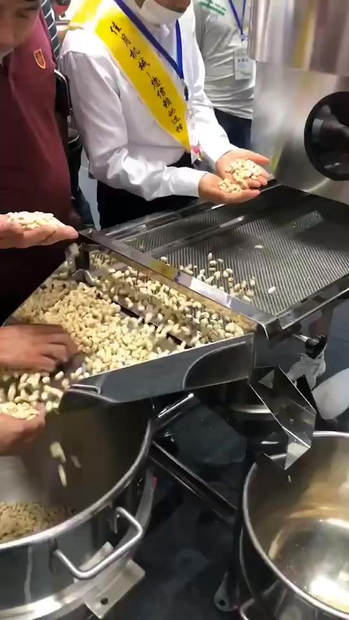 脱皮机工厂技术员现场调试花生脱皮