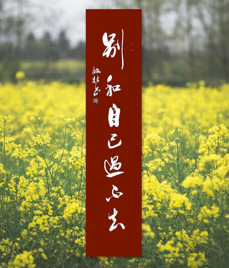情绪也要顺一顺,别跟自己过不去