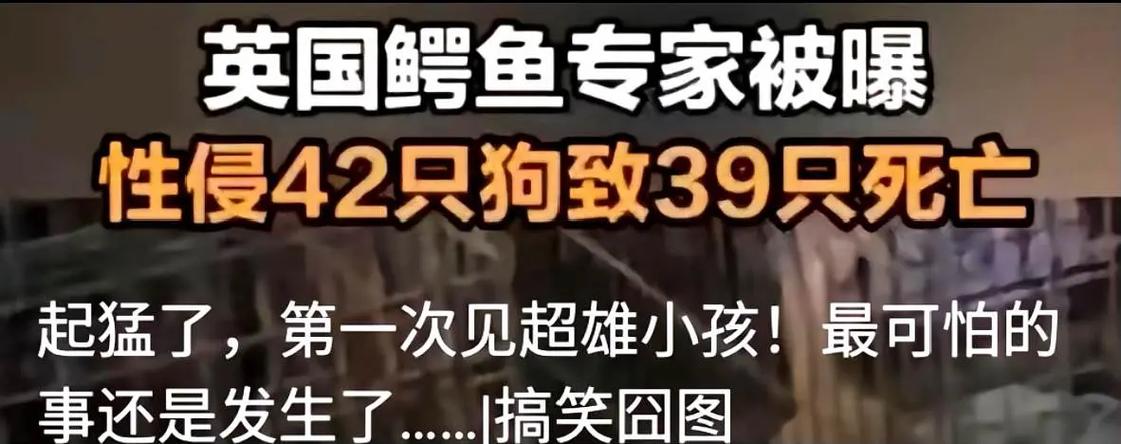 ‘炸裂’的新闻与冰冷的现实