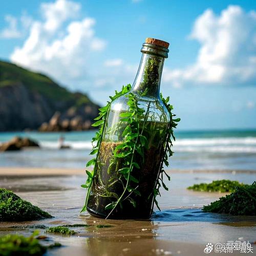 海岸线上一个搁浅的漂流瓶特写