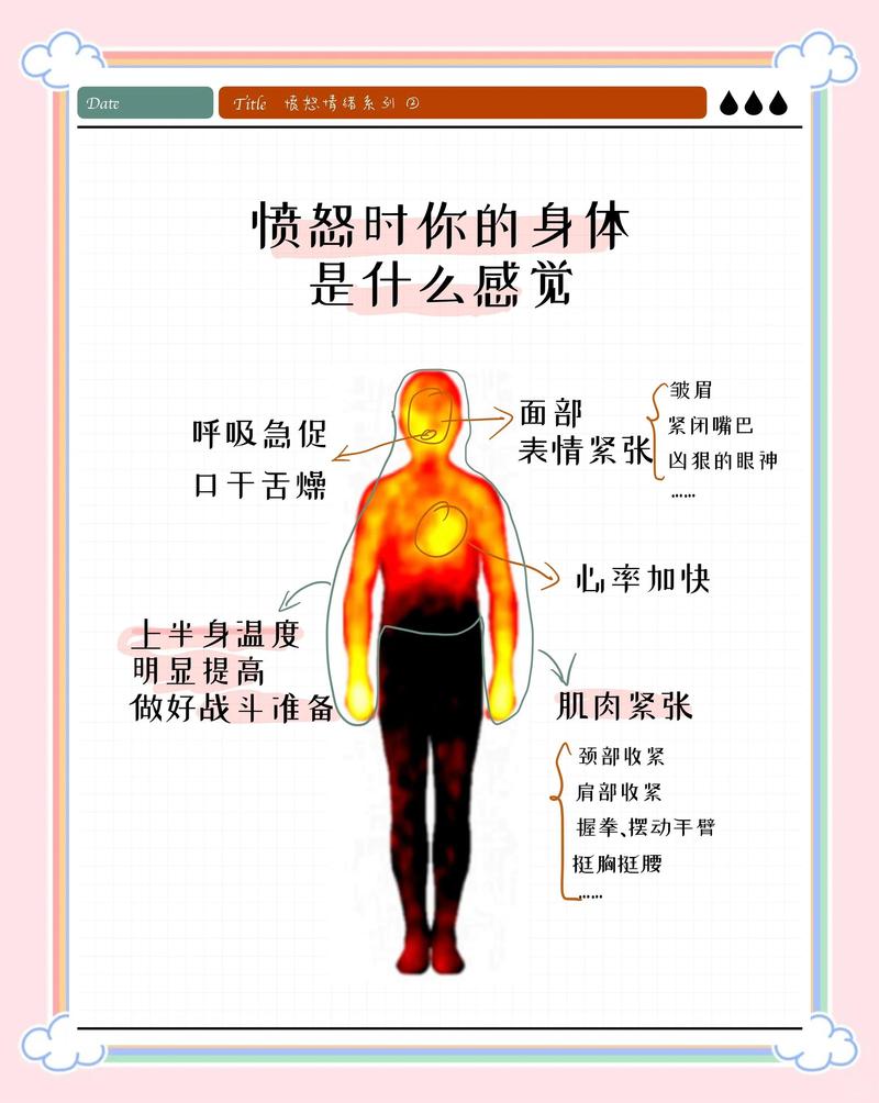 情绪唤起时身体生理反应示意图