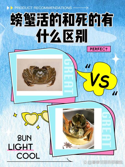 活蟹与死蟹鳃部颜色对比