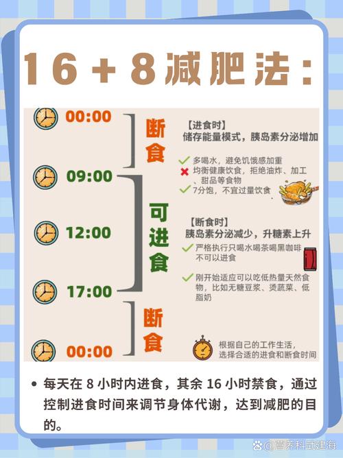 间歇性断食16 8方法示意图