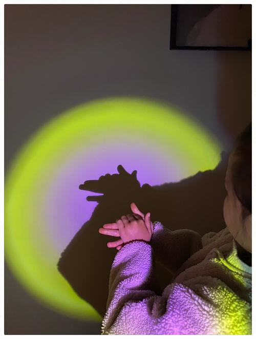 晚上房间里手电筒照手影游戏