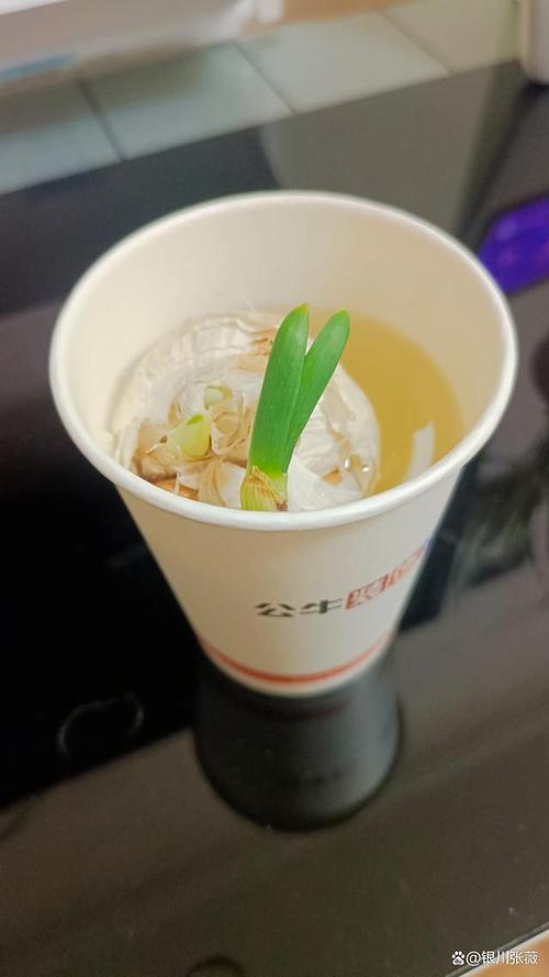 儿童蹲在家窗边观察纸杯大蒜发芽场景