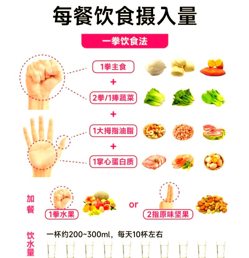 一拳法轻食搭配比例示意图