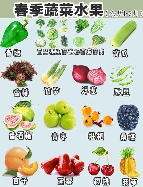 中国居民膳食指南2022果蔬推荐部分实拍