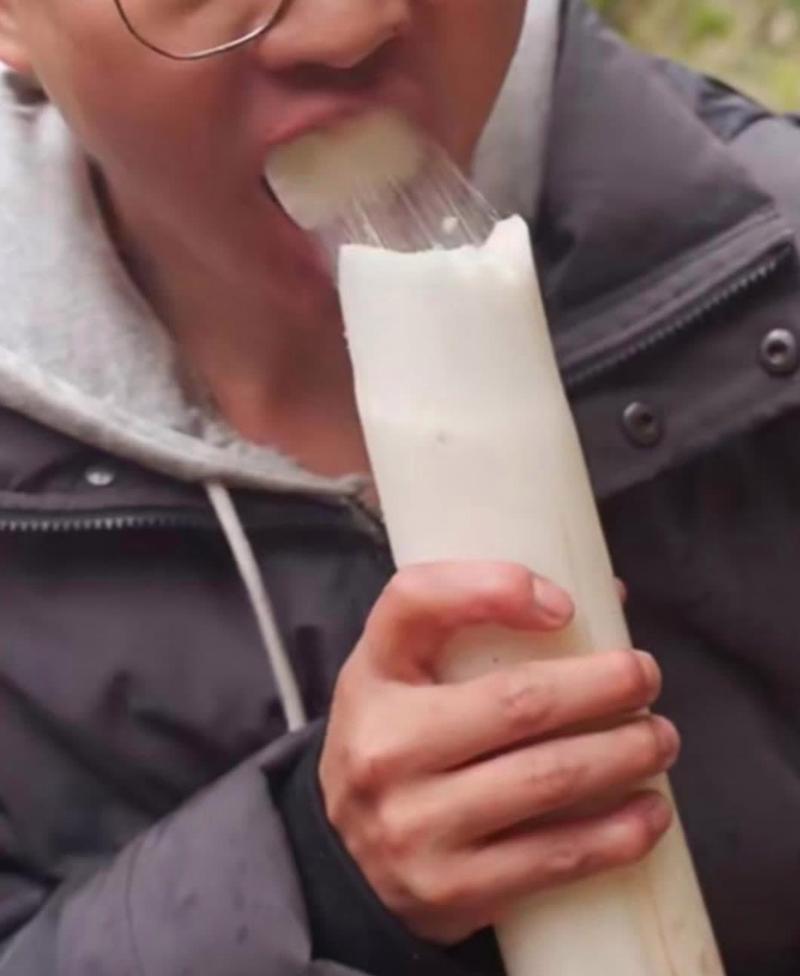 咬一口，全是山的味道