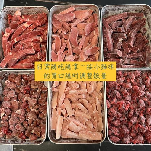 生骨肉标准配比实物分装图