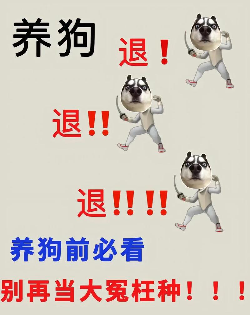 普通养宠人怎么算，才不会踩坑？