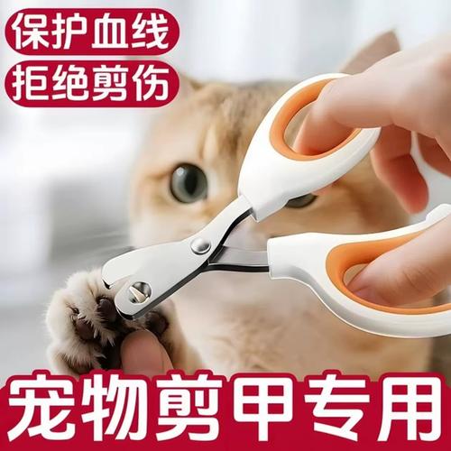 猫前爪伸缩鞘与指甲层结构示意图