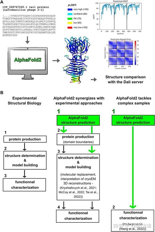 DeepMind AlphaFold3 蛋白质结构预测示意图