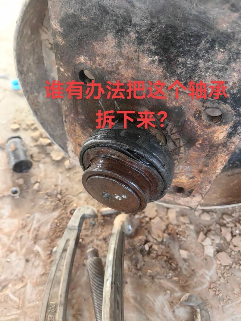 轴承选型翻过车、白白烧掉两万块之后，我总结出这些门道