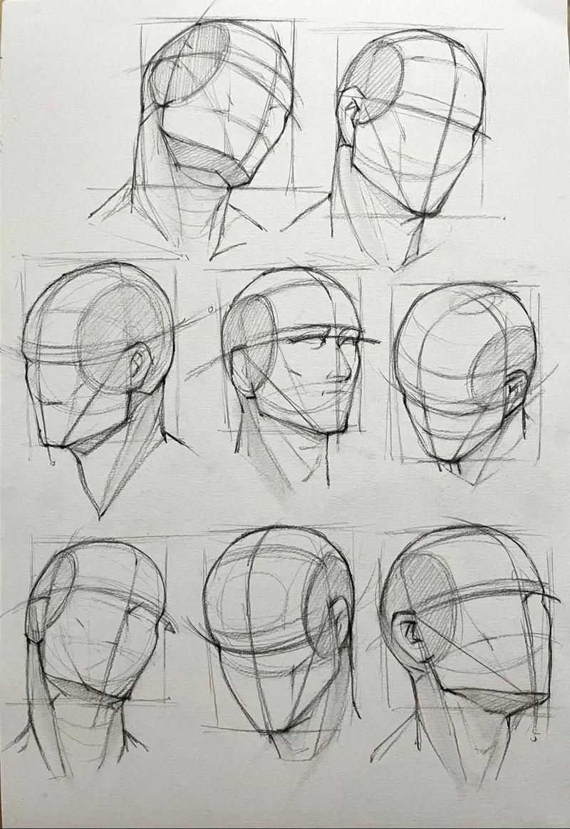 人物头部几何体结构示意图