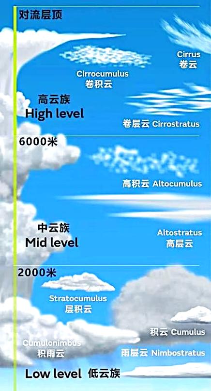 牧人：当无人再愿放牧，草原会变成什么样-因为所以