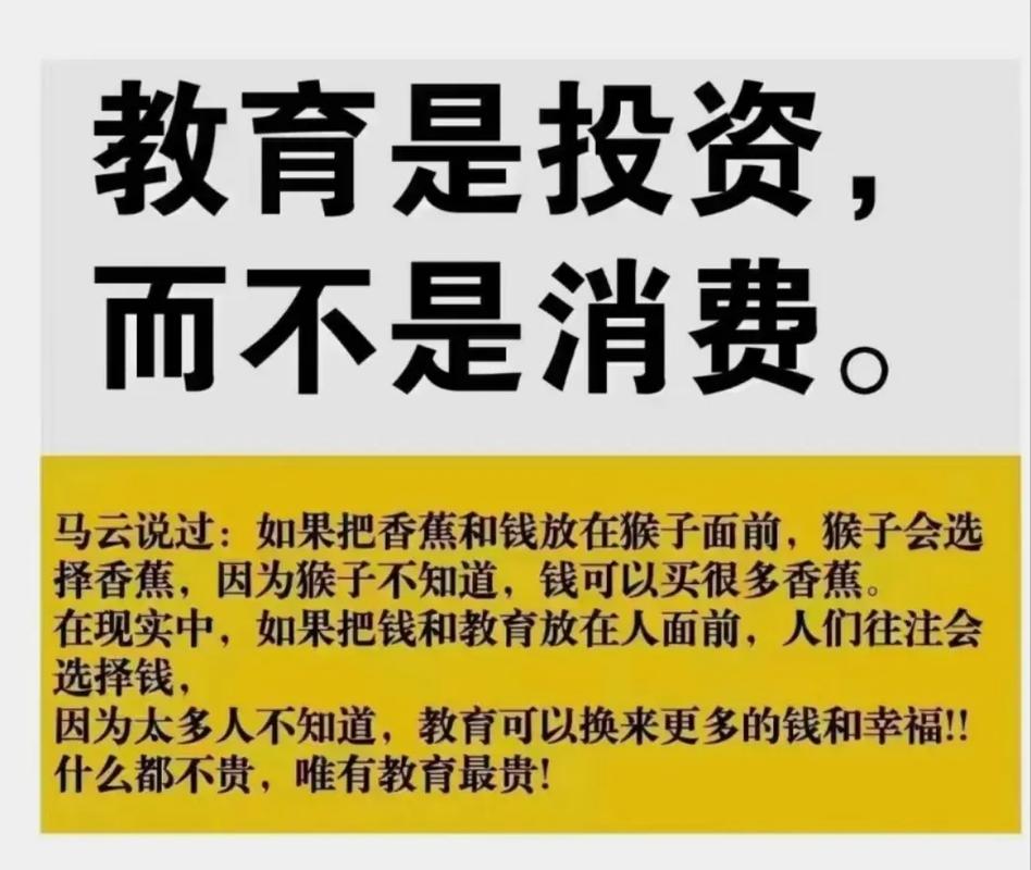 创投教育的“真香”与“打脸”