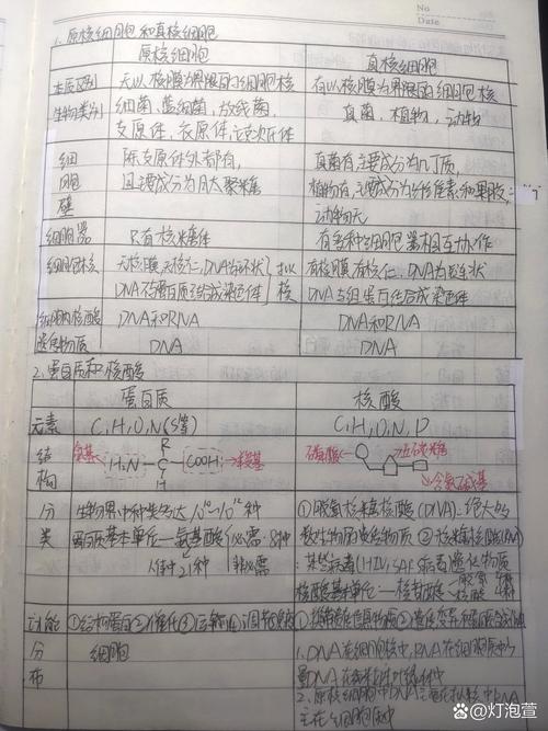 学生用打分表格对比不同专业取舍的笔记照片
