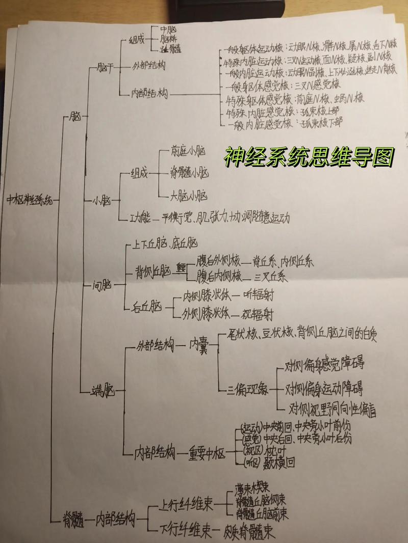 结构化思维：别被那堆框架唬住，它就是你大脑里的乐高-大讲堂