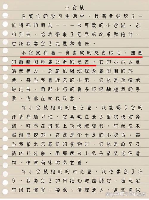 儿童作文本上歪歪扭扭写的我是一只老鼠短文