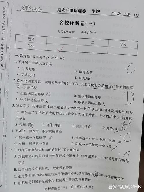 选择与使用类问题