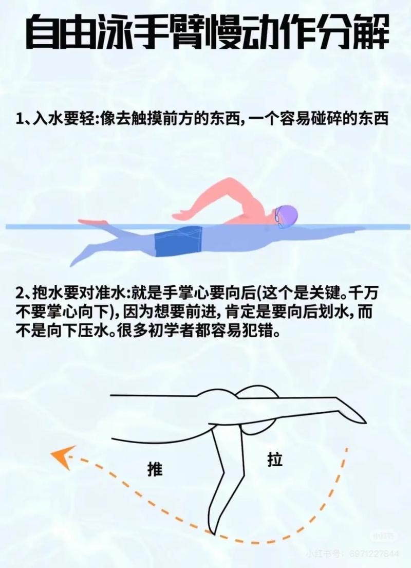 自由泳手臂前伸入水动作分解图
