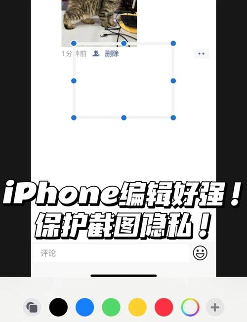 手机锁屏设置时时间栏遮挡猫咪脸部实拍示意图