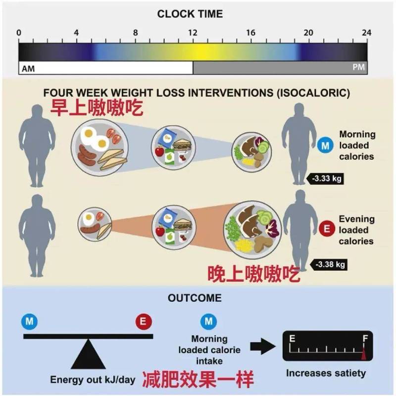 熬夜后人体营养消耗对比示意图