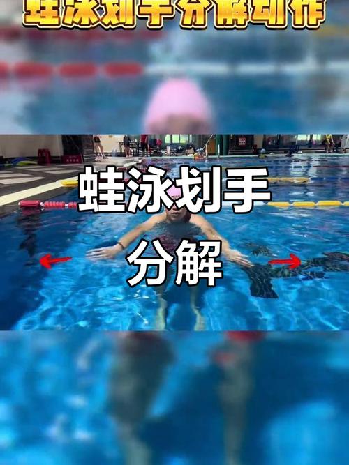 蛙泳划手内划加速抱水动作特写