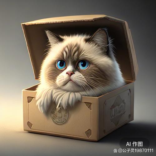 4. 盒子的魔力:为什么猫见盒子就钻?