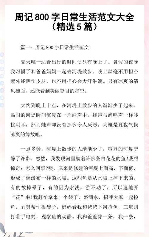 日常使用篇
