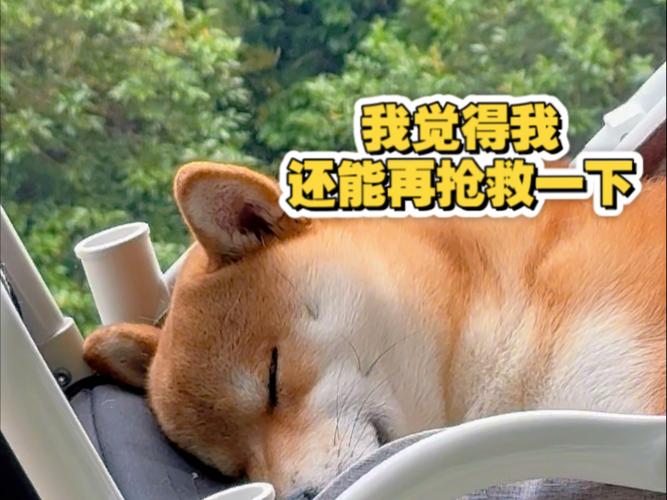 万一已经蔫了,还能抢救一下