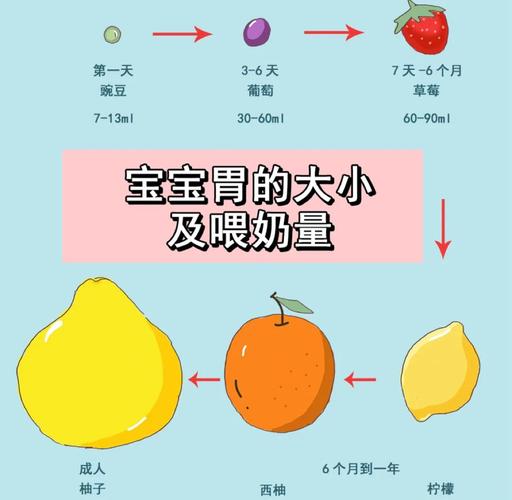 不同月龄新生儿宝宝胃容量对比图