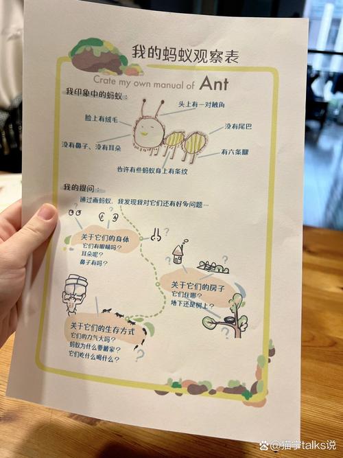 幼儿观察蚂蚁 早教敏感期自然探索