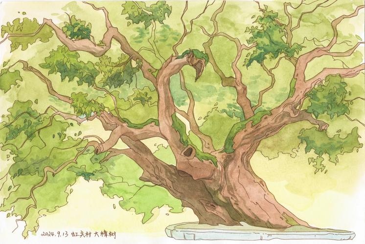 乡村传说老槐树树洞手绘插画