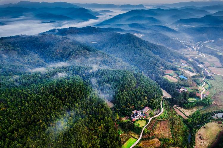 湖北南漳荆山山谷养蜂场远景
